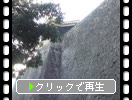 愛媛・松山城「反り返る高石垣」
