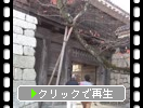 秋の愛媛・松山城「筒井門と太鼓門」