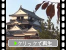 秋の愛媛・松山城「大天守閣」