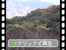 秋の松山城「ロープウェイ・リフトと景色」