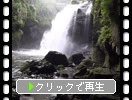 竹田市「黄牛の滝」