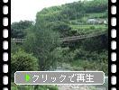 豊後・原尻の滝「滝見橋（吊橋）と緒方川」