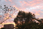 市街地の秋の夕焼け雲