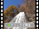秋の横谷峡「乙女滝と青空」