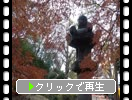 紅葉上野東照宮「お化け灯籠と紅葉」