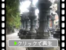 上野東照宮「銅灯籠群」