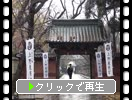 雨の上野東照宮「水舎門と表参道」