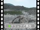 ���Ӥι⸶��β�������Ϲ�����