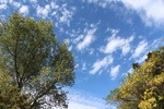 ȥݥץ