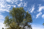 ȥݥץ