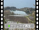 ĿΡֳդ..