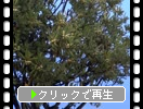 ն᤯֥ȥ٥μ¤