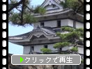 ⾾Ԯʶ..