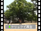 ֶ̻..