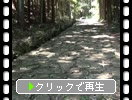 ڱ̤Ρо