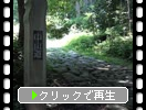 滳ƻо
