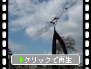 ȤưȥܤĦ