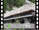 塦ΡʿԻṮ̌ȡ