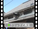 Ų鸮˭¼¤ο̤︳