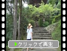 Ƥָ޽ʹˡ