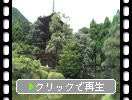 Ƥָ޽ӡ