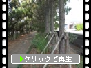 ŷ̤ΡӤ˱褦ϩ