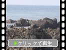 ŷٲ¿̤ʴ䤬볤ߡ