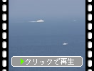 Ԥ沼δ