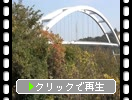 ŷѡ饤ŷ붶Ρ