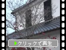 椬¢ɤβ¤