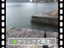 仺ˡѤӿϩж