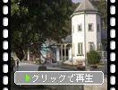 仺ˡ֥ɥϥʪۡˡ