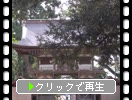 λҡֿϰˡ