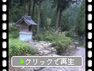 齩̹ƻФƻ