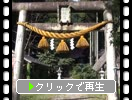 ޲ջֿ½οҡ