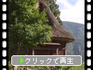 ޲ջҽǰ