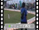 졼ե饤inʡ֥ߥʥꥨγϡ