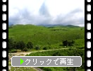 Ƥνֹ륹ϡ