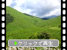 Ƥν֥륹Ϥӷ