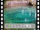 Ƥŷӡ֥Хȥ֥롼ͯӤȿҡ