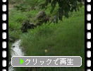 Ȫ᤹ѿ