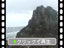 ʡ