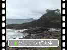 ʡֵ