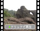 αֳ̨߳γƶ
