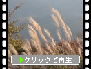 ḫ١ֻΥ