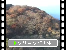 ḫ١ֻؤį˾