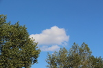 �Ķ������