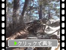 �ߤξ��綮��