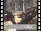 �ߤξ��綮��