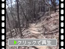 �ߤξ��綮��